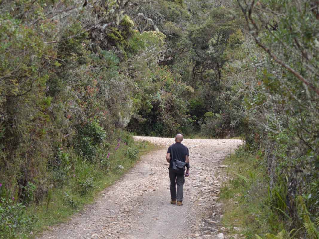 Senderos para pajareada express en Finca Suasie B&L.