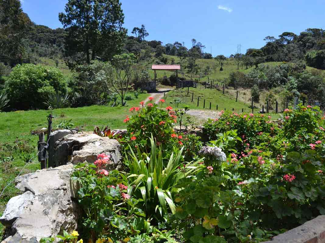 Jardines exteriores a la casa de la Finca Suasie B&L.