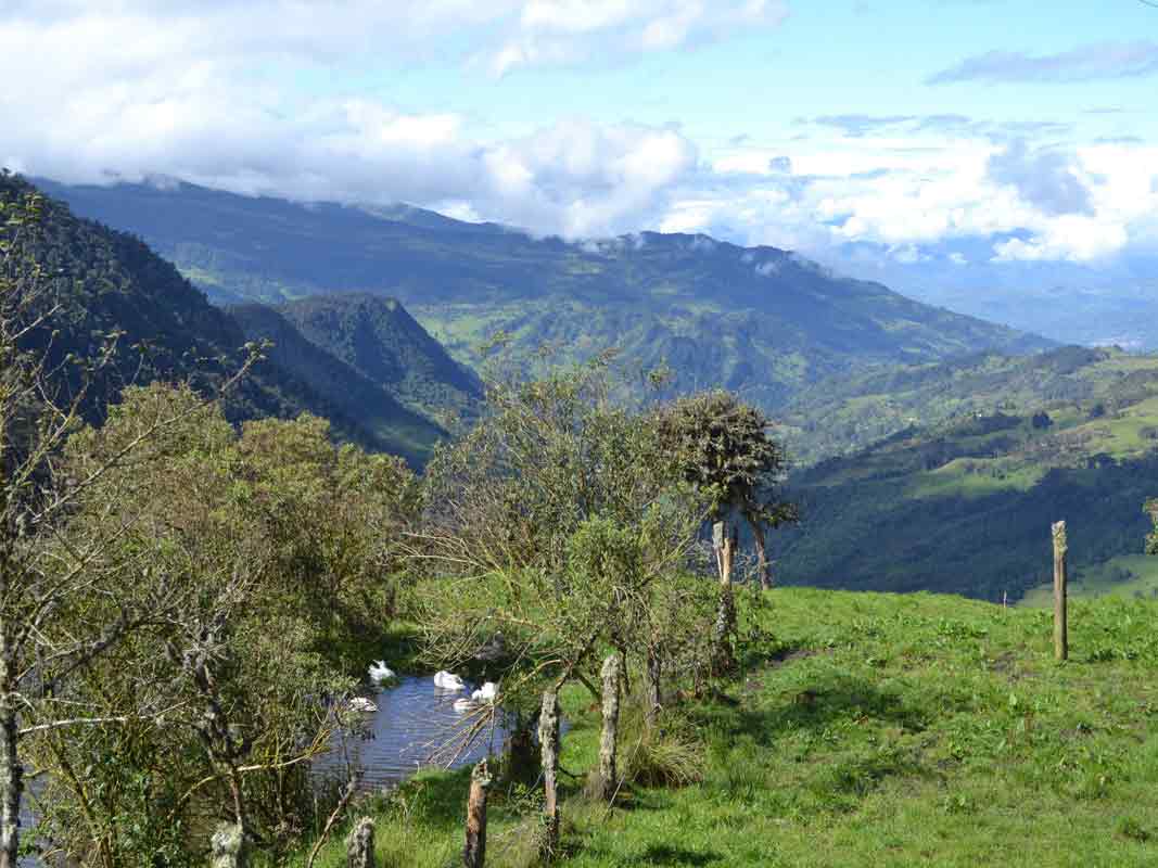 Valle del río Blanco, sector la Trinidad, Guasca. Vista desde Finca Suasie B&L